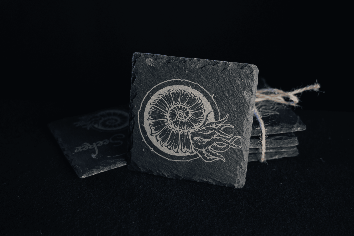 Storm Seeker - Slate Coasters