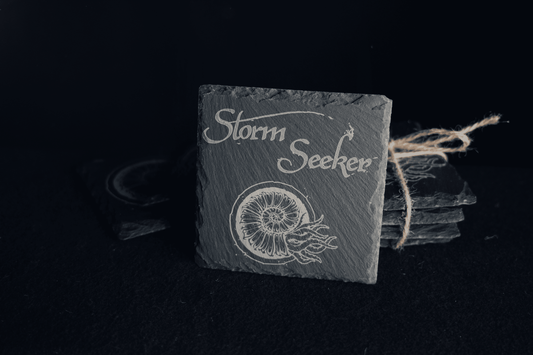 Storm Seeker - Slate Coasters