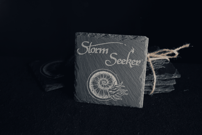 Storm Seeker - Slate Coasters